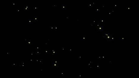 particle firefly