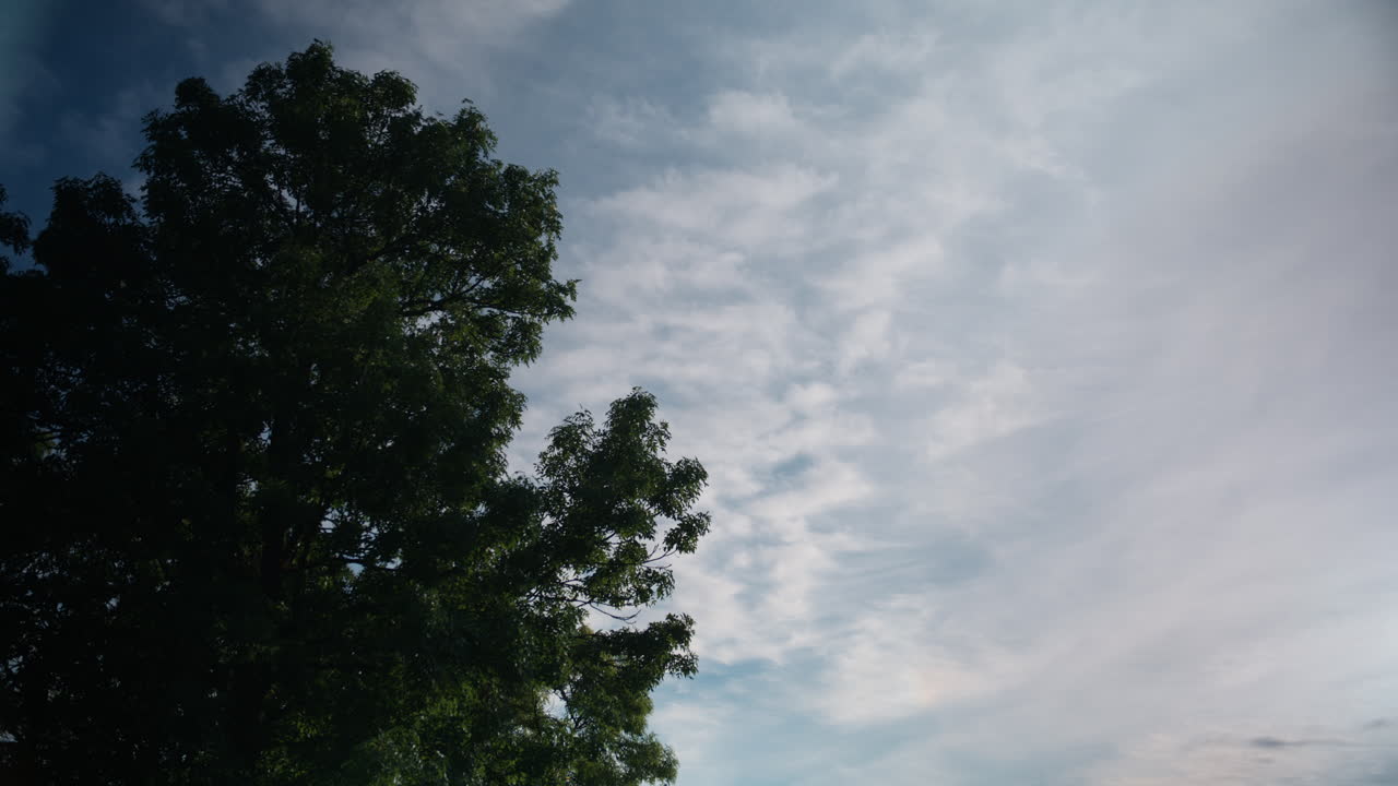 Clouds moving slowly over the tree on a sunny day