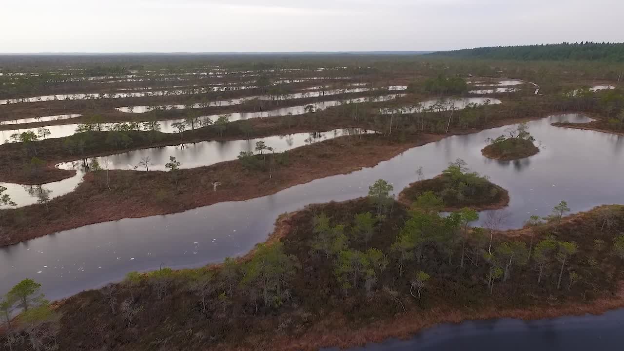 라트비스 케메리의 상승된 늪지 높은 수위 공중 가을 비디오 보기