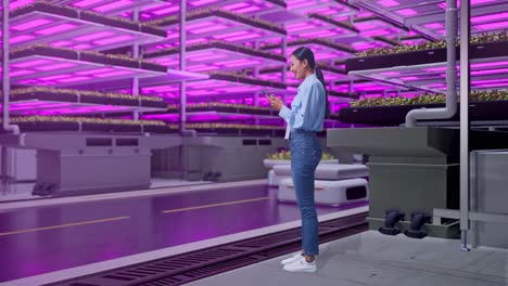 vista lateral completa del cuerpo de una trabajadora profesional asiática de pie con su teléfono en una granja vertical, instalación industrial de alta tecnología, trabajando continuamente con su teléfono