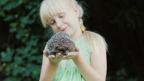 Ein-Glückliches-Kind-Hält-Einen-Kleinen-Igel-In-Seinen-Händen-Kinder-Und-Wildtiere-Eine-Gut-Geheilte-Und-Fürsorgliche-Con