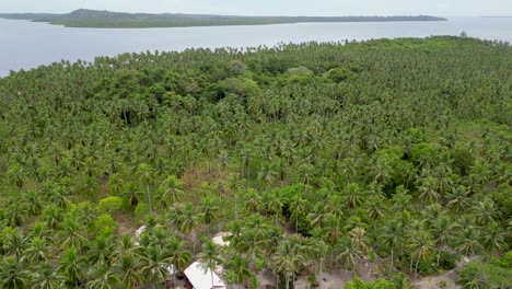 dolly inversa aérea sobre la isla de sicsican con palmeras y arrecife de agua clara del océano
