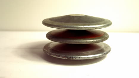 close up of discus on a table