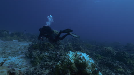 a beautiful underwater landscape view of a scuba diver exploring the underwater world.