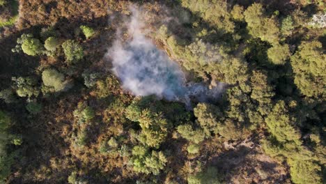 Dampfende-Natürliche-Heiße-Quelle-Mit-Türkisfarbenem-Wasser-In-Einem-Dichten-Wald-Bei-Sonnenuntergang