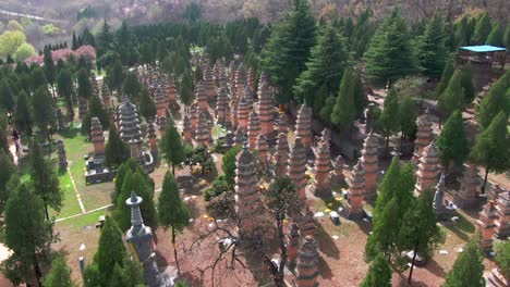 buddhist pagodas after the death of eminent monks，the cemetery of monks in shaolin temple
