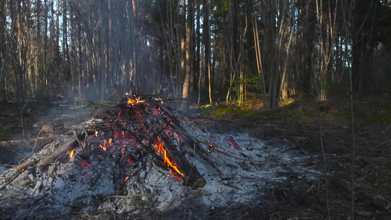 Gorgeous vibrant colored slow motion footage of a small campfire, fire or a bonfire burning with orange yellow flames in a sunny forest with intence heat, embers flying and smoke. Gray ashes around it