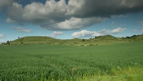 english countryside 06