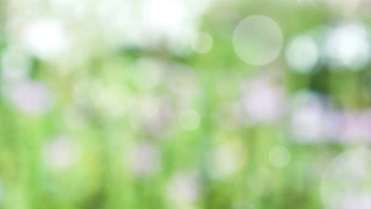 보케와 함께 추상적인 스프링 배경