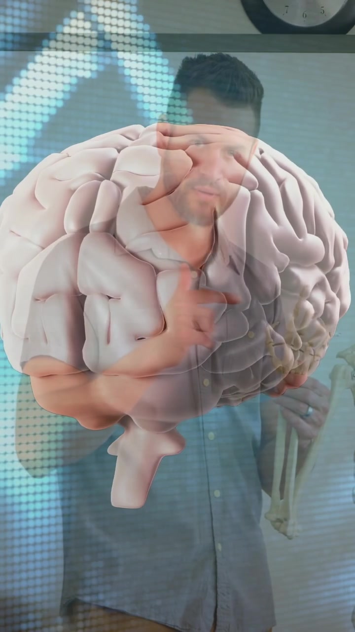 Video vertical: Pantalla mostrando un cerebro girando en una sala mientras un profesor señala un esqueleto para anatomía.