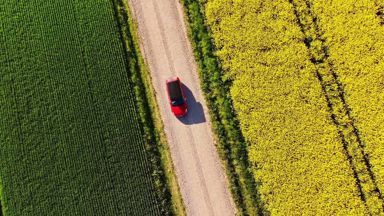 Aerial shot of red car, roof tent driving past rapeseed, grain fields Latvia