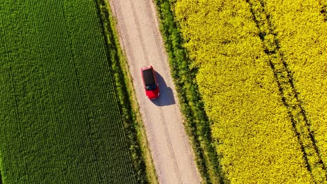 aerial shot of red car, roof tent driving past rapeseed, grain fields latvia