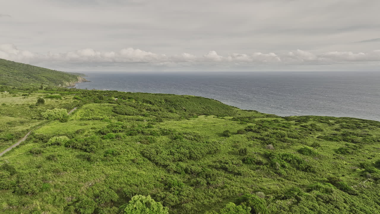 마우이 하와이 에어리얼 v10 드론 플라이오버 카우포 해안선을 따라 케피오 포인트를 향해 광활한 목초지와 태평양 전망의 원격 풍경을 포착 - mavic 3 영화 - 2022 년 12 월