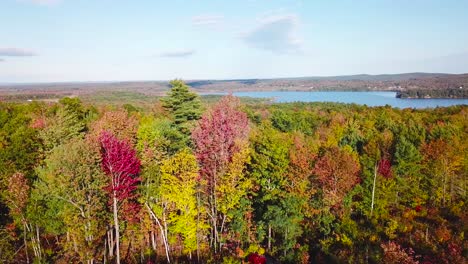 aerial over vast forests of fall foliage and color in maine or new england 2