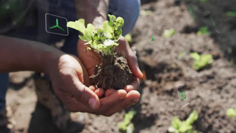 male farmer kneeling and holding seedling in farm field, with ar co? and rotor icons floating