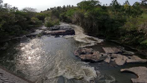 rapids river in the middle of a rural forest landscape