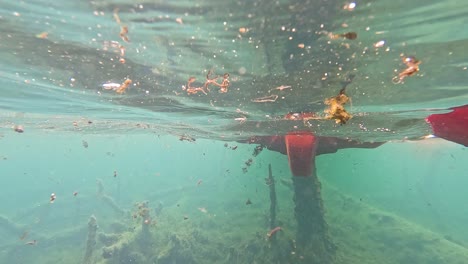 kayaking underwater in a shallow spring