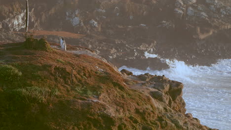 poderosas olas en los acantilados rocosos con pingüinos de ojos amarillos y focas de piel cerca de katiki point, nueva zelanda