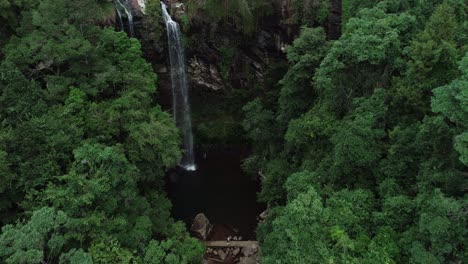 twin falls waterfall in the heart of the rainforest