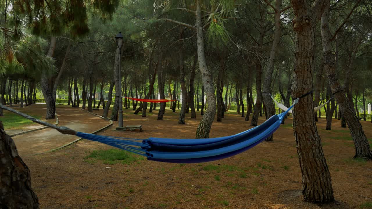 공공 사용을 위해 나무들 사이에 있는 공원의 해먹 몇 개