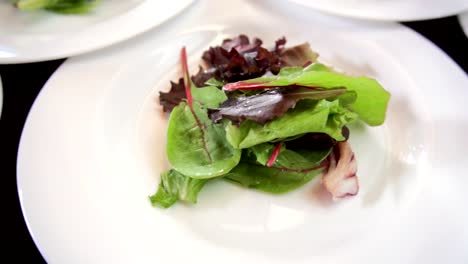 Salad-in-macro-shot-rotating