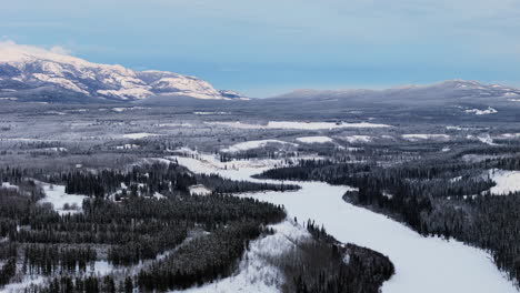 winter scene on forest and river near ibex valley in whitehorse, yukon, canada. aerial wide shot