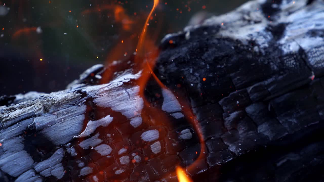 Fire flame close up view. Close up shot of camp fire and burning coal