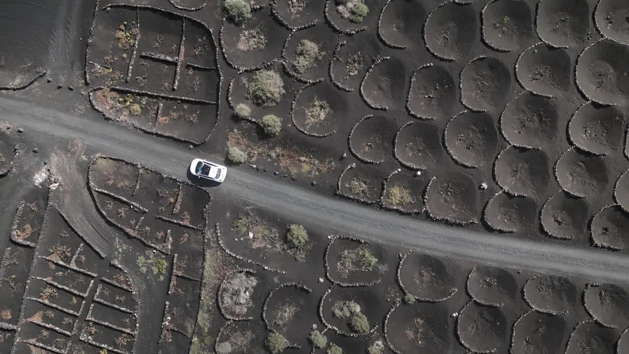 2023년 화창한 날 스페인 란자로테 카나리아 제도 포도원의 검은 화산재 트랙에 있는 흰색 자동차