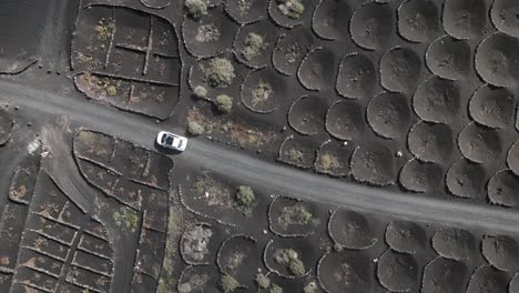 coche blanco en pista de ceniza de volcán negro en viñedo, lanzarote islas canarias españa, día soleado 2023