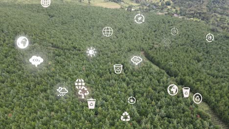 Drone-view--Africa-Forest--Kenya-and-Tanzania-Bush-fire-on-slopes-of-mount-Kilimanjaro-Loitokitok-Kenya