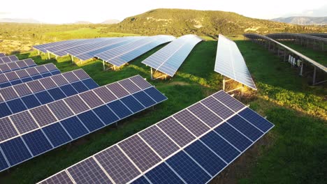 establisher shot of many photovoltaic solar panels at power station farm, static