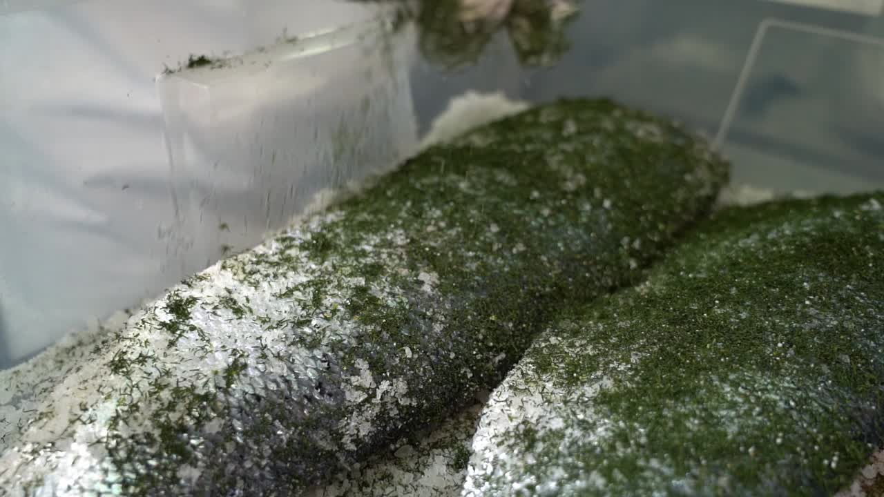 피부가 위를 향하고 있는 작은 송어 필레는 녹색 딜 조미료로 덮인 플라스틱 상자 안에 놓여 있습니다 - 휴대용 슬로우 모션 근접 촬영