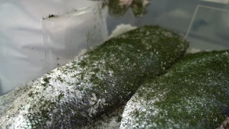 pequeños filetes de trucha con la piel hacia arriba se encuentran dentro de una caja de plástico cubierta con condimento de eneldo verde - cámara lenta de mano cerrada