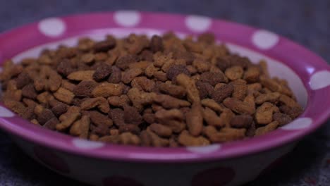 Panning-Shot-of-a-Full-Bowl-of-Cat-Food