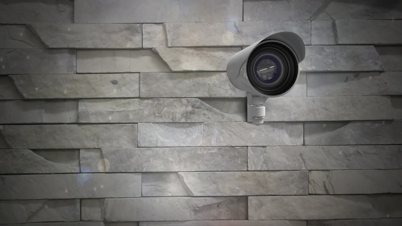 Cámara de vigilancia