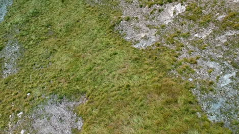 toma aérea de una mujer rubia caminando por un sendero en los alpes suizos