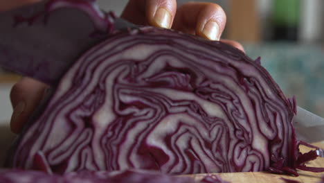 extreme close up woman's hand ends slicing part of purple red cabbage with a sharp knife in the kitchen