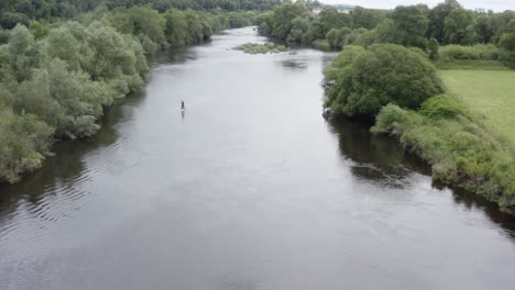 persona rema paddleboard más allá de las densas costas rurales ribereñas