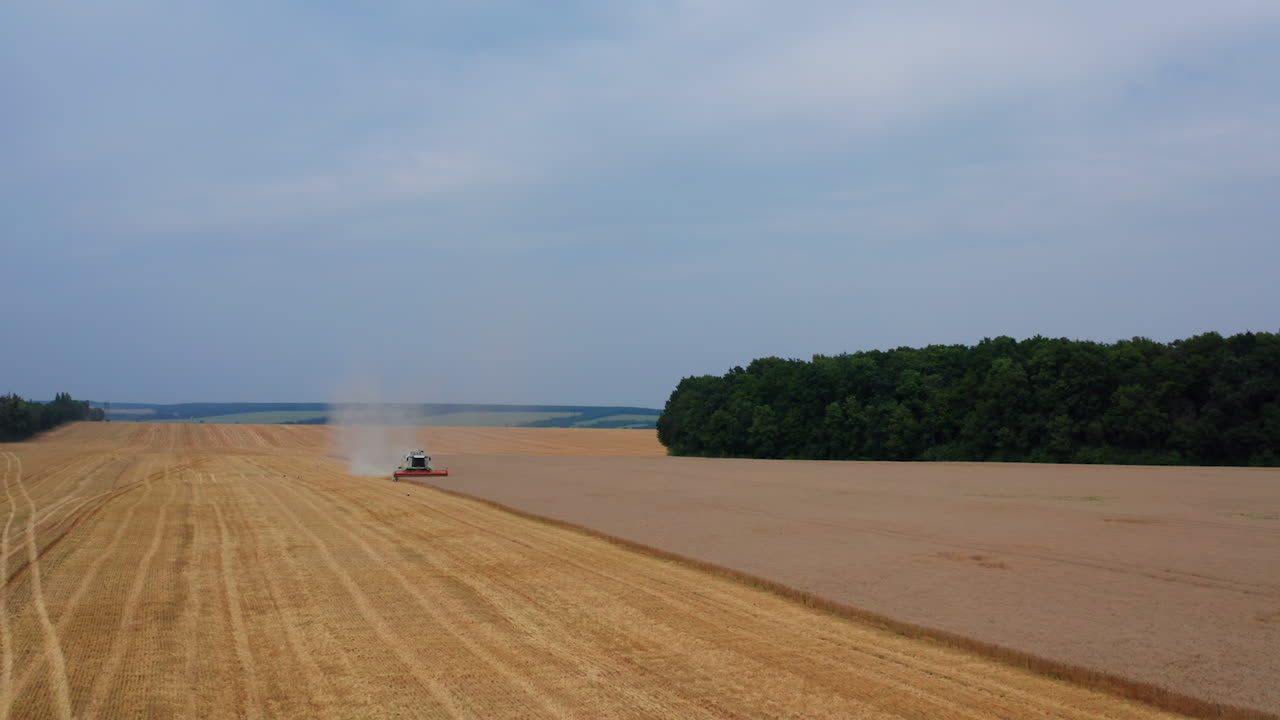 밀 에 있는 수확기