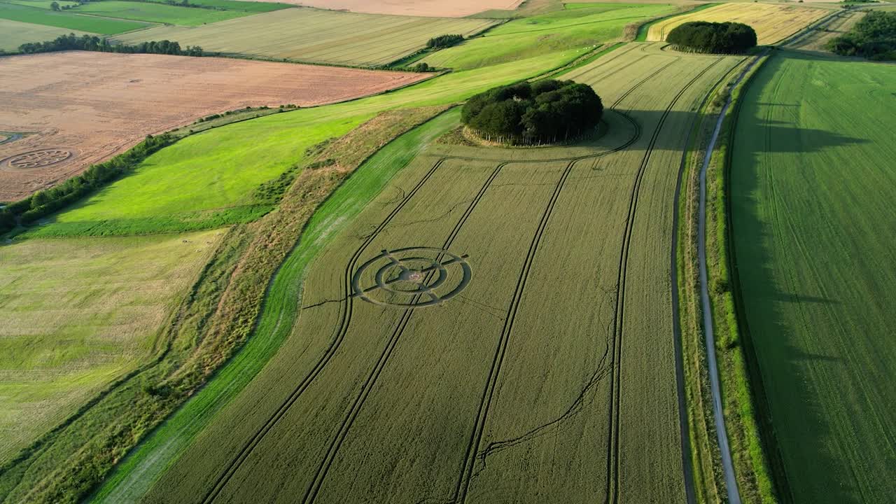 diseño de círculo de cultivo de destino de campo de trigo en verde hackpen hill escena rural vista aérea órbita distante empujar hacia la izquierda