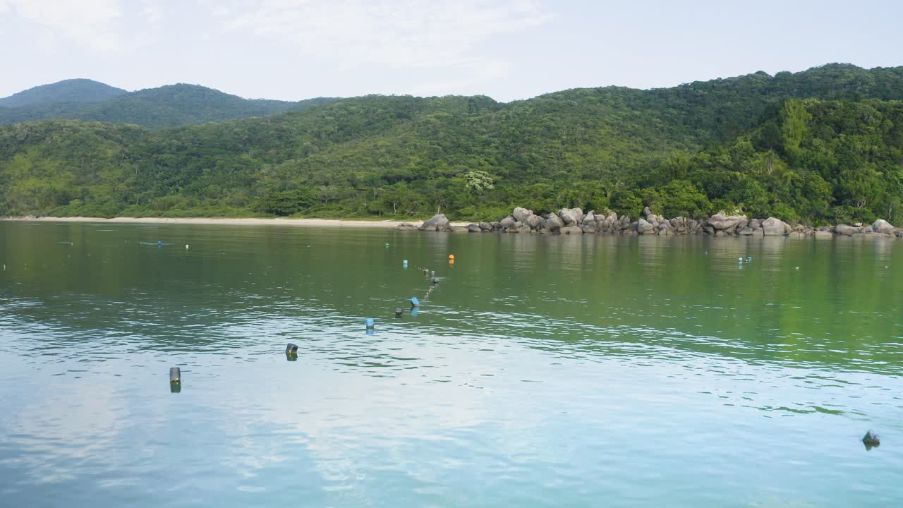 열대 해안 브라질 바다, 짐브로스, 브라질의 정글 해변에 접근하는 드론