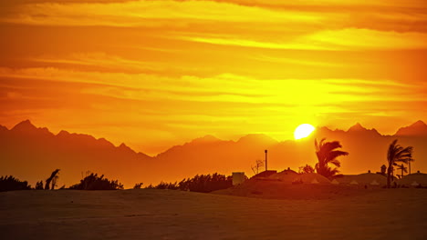 Timelapse-of-sandy-desert-landscape-with-palm-trees-under-an-orange-and-red-sky-with-clouds-at-sunset