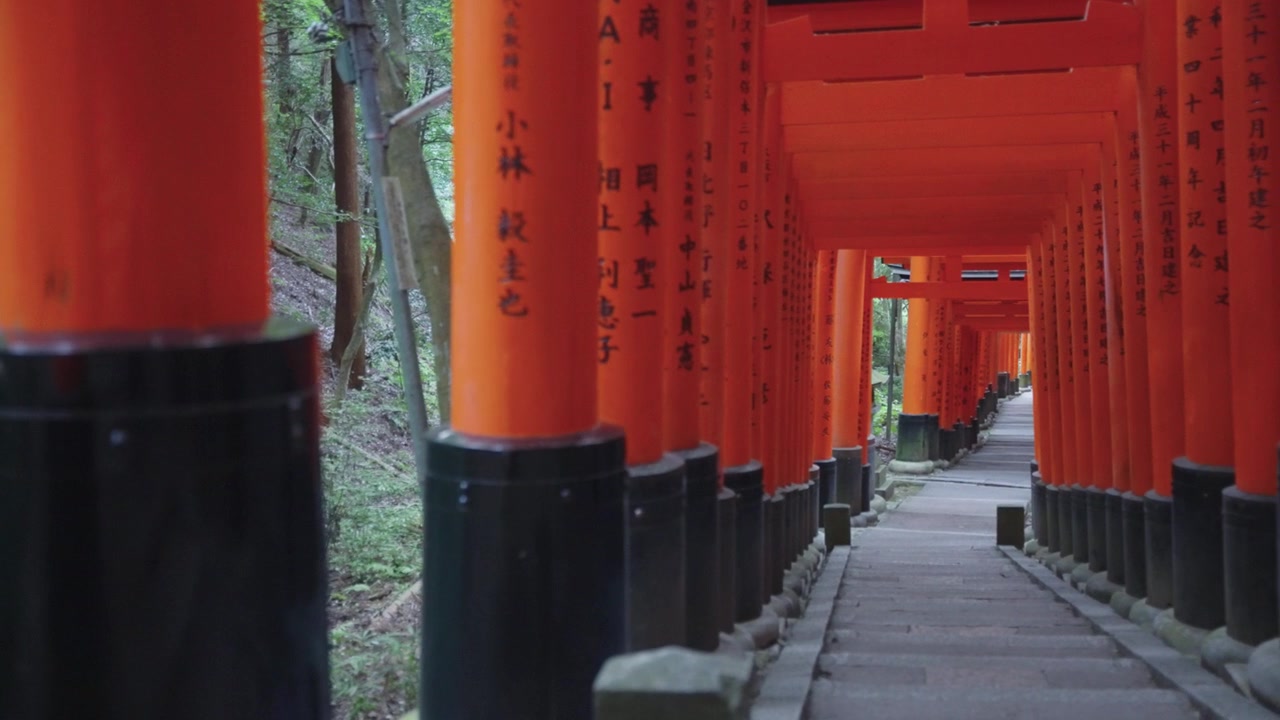 Rivi Torii-portteja Fushimi Inari Taishassa, Kiotossa, Japanissa. Rauhallinen tausta.