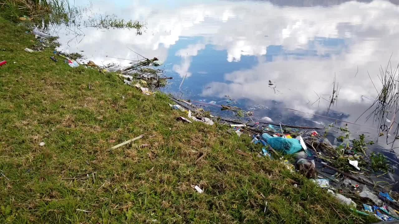 풀이 많은 해안선에서 플라스틱 오염, 추적, 클로즈업