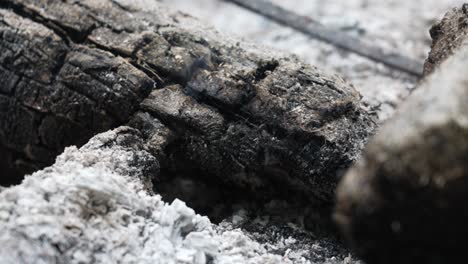 restos de un tronco quemado en un pozo de fuego