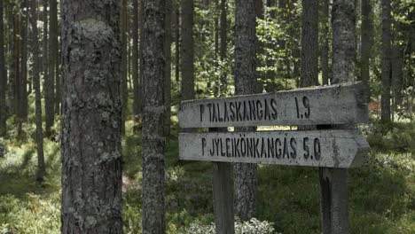 wooden direction sign boards in hiking trail forest, national park, finland