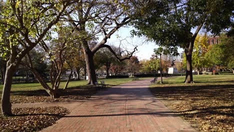 Walking-on-pathway-in-National-alley-of-Washington-DC,-motion-forward