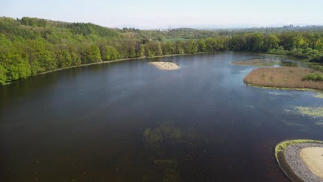 Waldteich-In-Der-Sommernatur-Nezmar,-Tschechische-Republik-4k