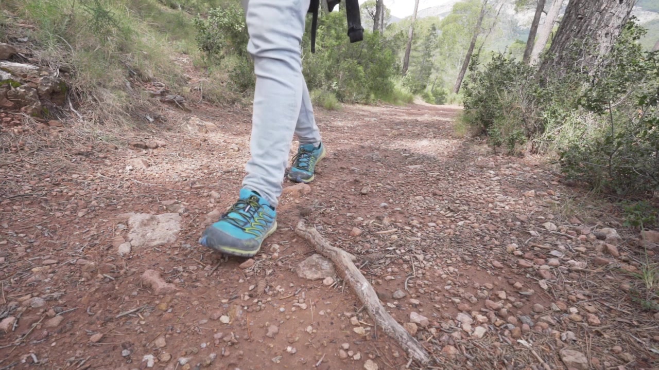 Escursionista con zaino sta camminando lungo un sentiero nel bosco