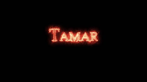 tamar written with fire. loop